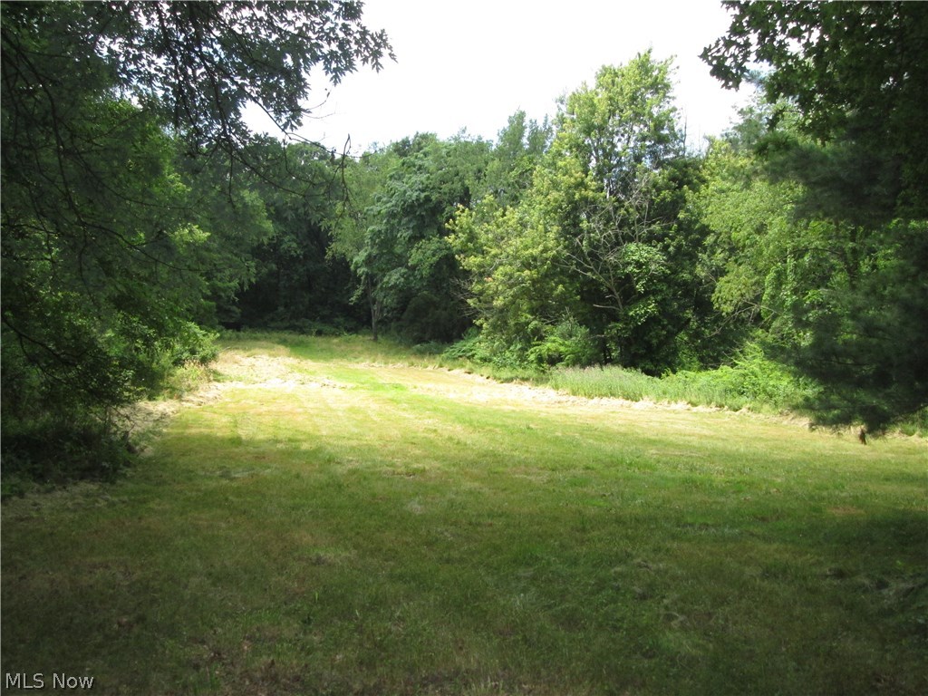 4798 Manchester Road Akron, OH 44319 - Photo 29 of 31 Gallery Image 29