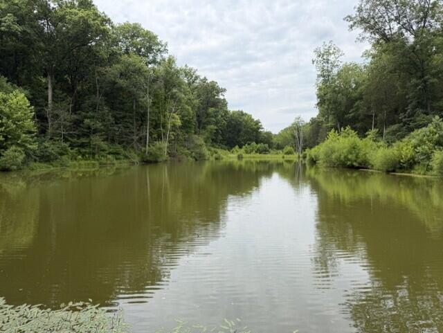 0 Kelly Ridge Road Irvine, KY 40336 - Photo 11 of 39 16