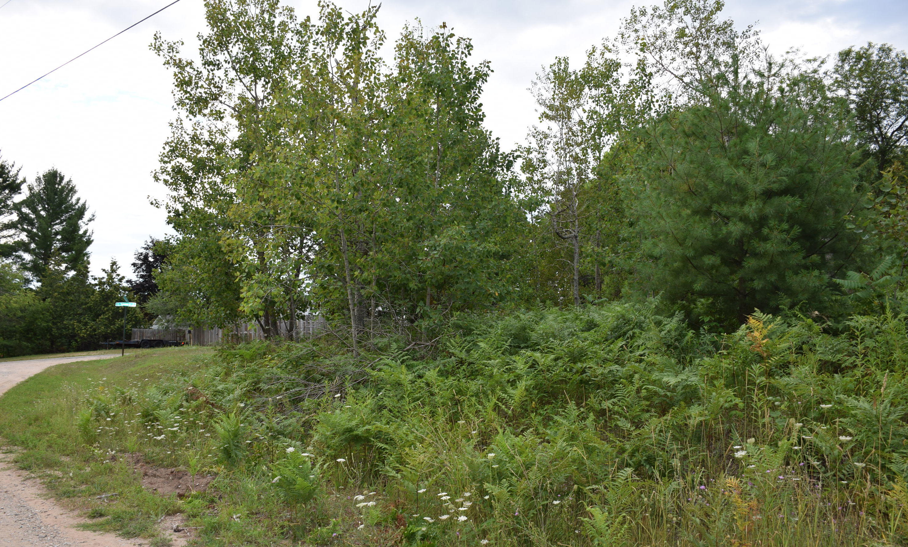Terrace Street Alanson, MI 49706 - Photo 9 of 9 Gallery Image 9