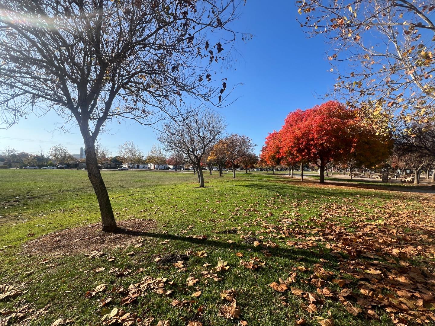 800 North 8th Street, Unit 120 San Jose, CA 95112 - Photo 21 of 21 a view of a park