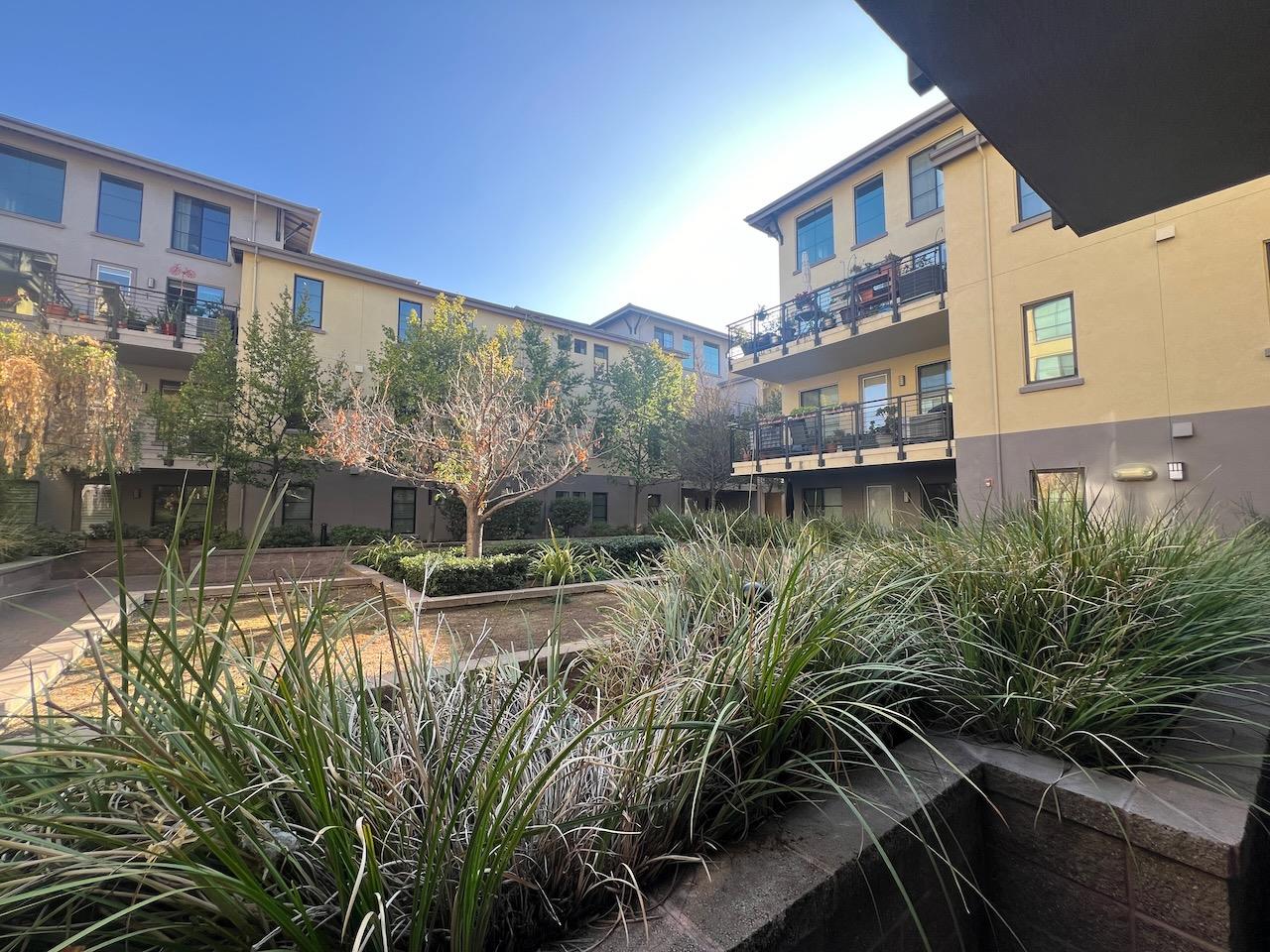 800 North 8th Street, Unit 120 San Jose, CA 95112 - Photo 3 of 21 a view of a yard in front of a building