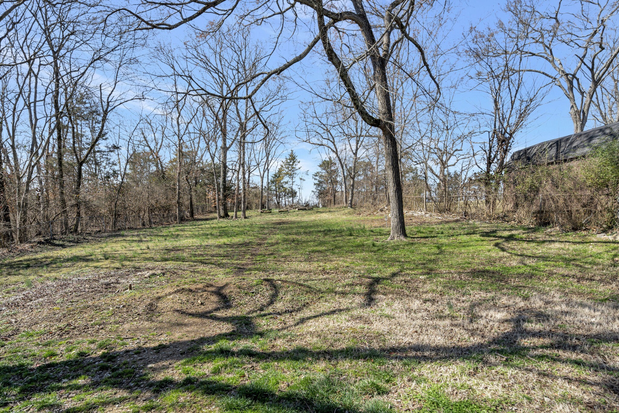 114 River Road Hendersonville, TN 37075 - Photo 33 of 34 a view of a tree in a yard