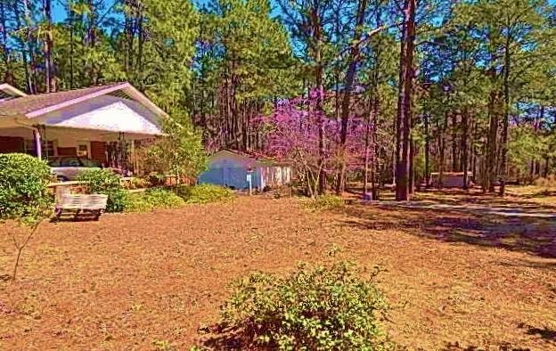 671 Vass-Carthage Road Carthage, NC 28327 - Photo 40 of 45 YARD2