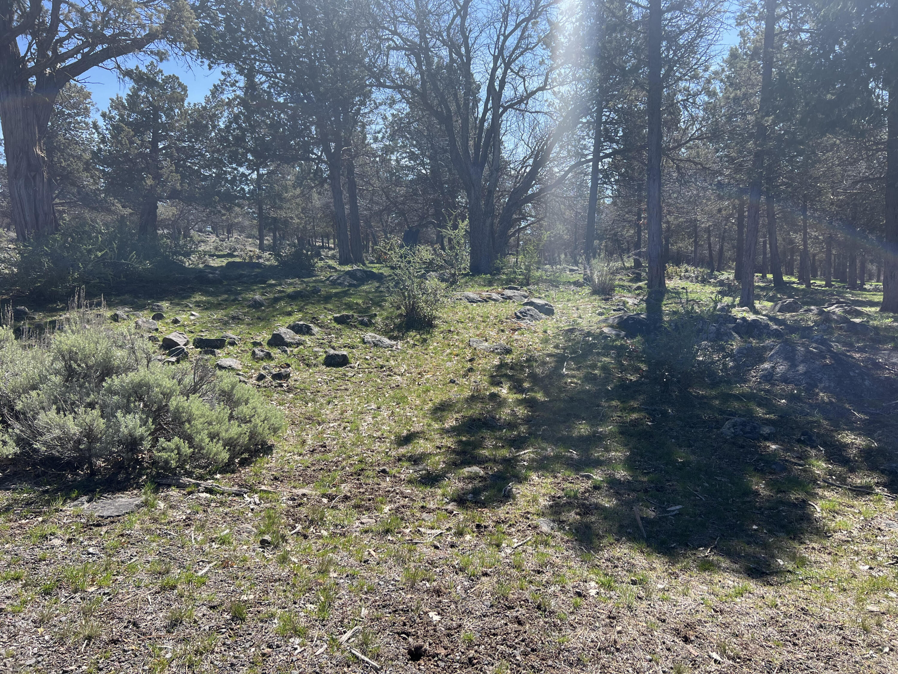 Lot 507 Dowitcher Road Klamath Falls, OR 97601 - Photo 1 of 4 Lot