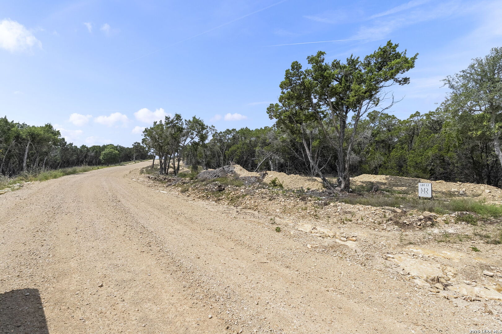 341 Mitchell Drive Spring Branch, TX 78070 - Photo 4 of 33