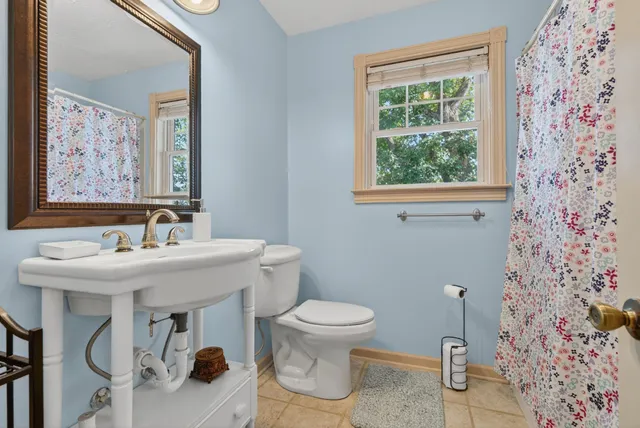 a view of a bench in a forest