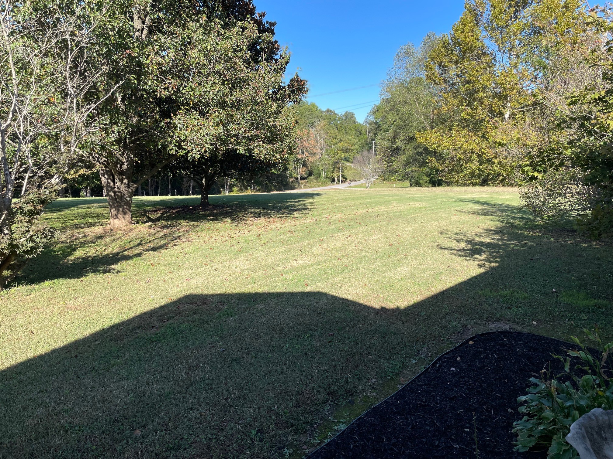 295 Brown Road Morrison, TN 37357 - Photo 11 of 29 a view of outdoor space and yard