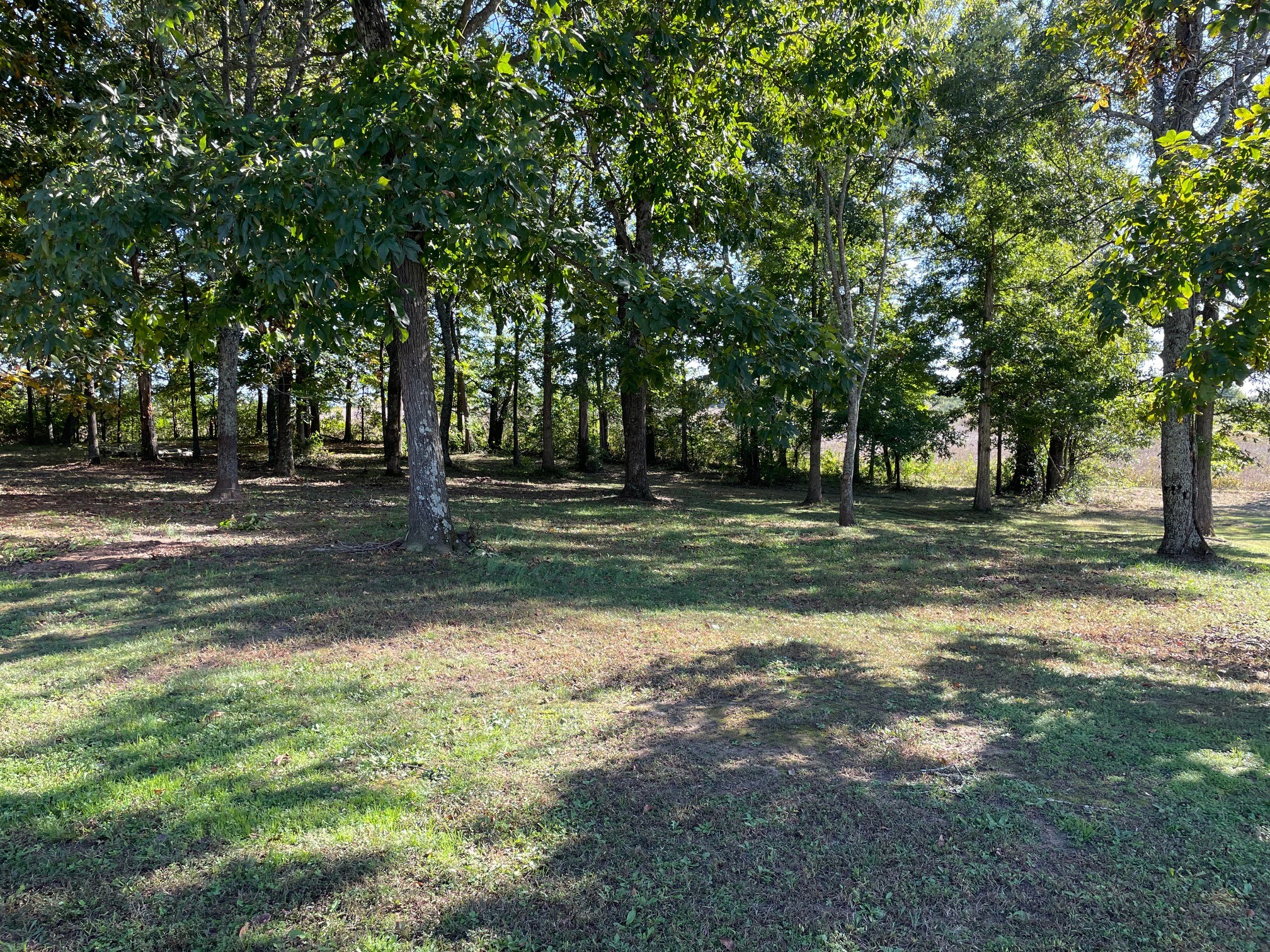 295 Brown Road Morrison, TN 37357 - Photo 7 of 29 a backyard of a house with lots of green space