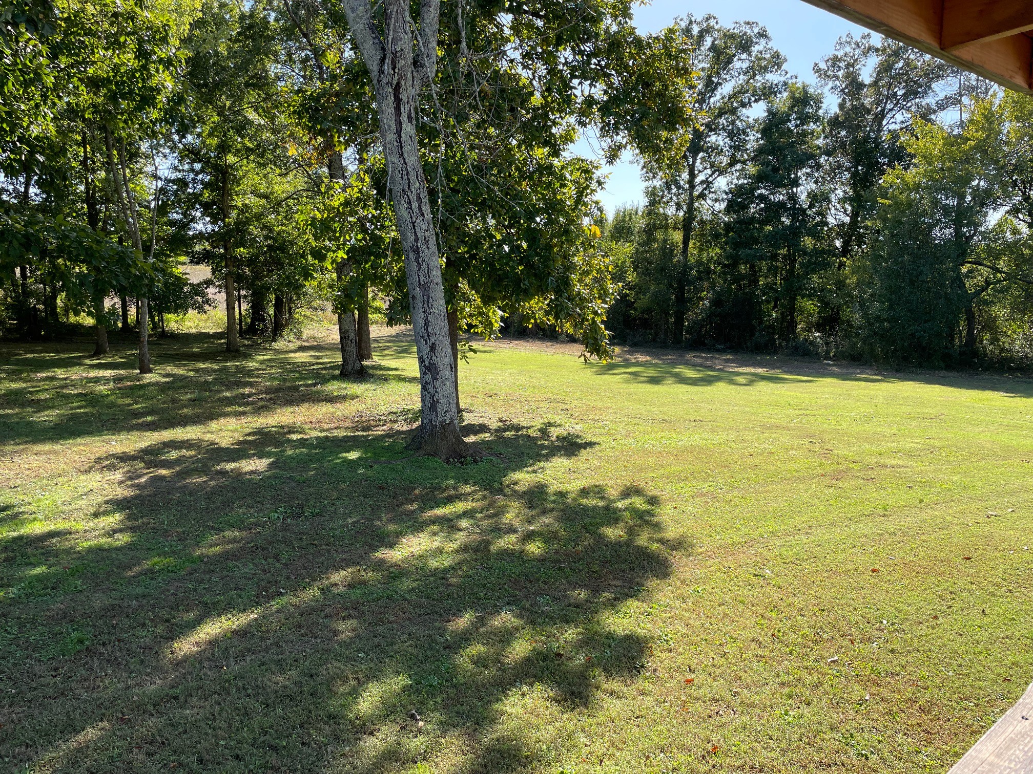 295 Brown Road Morrison, TN 37357 - Photo 8 of 29 a view of a trees with a yard