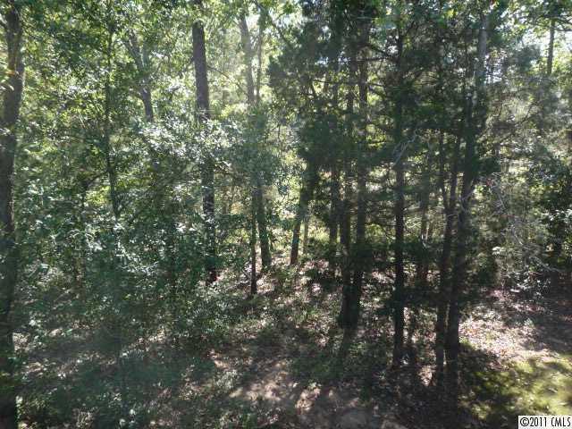 1974 Pleasant Road Fort Mill, SC 29708 - Photo 14 of 16