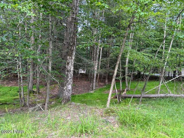 32 Tomahawk Road Lake Ariel, PA 18436 - Photo 4 of 12