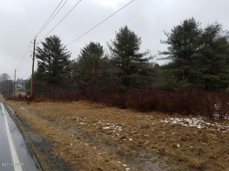46.2 Eckes Road Narrowsburg, NY 12764 - Photo 7 of 7