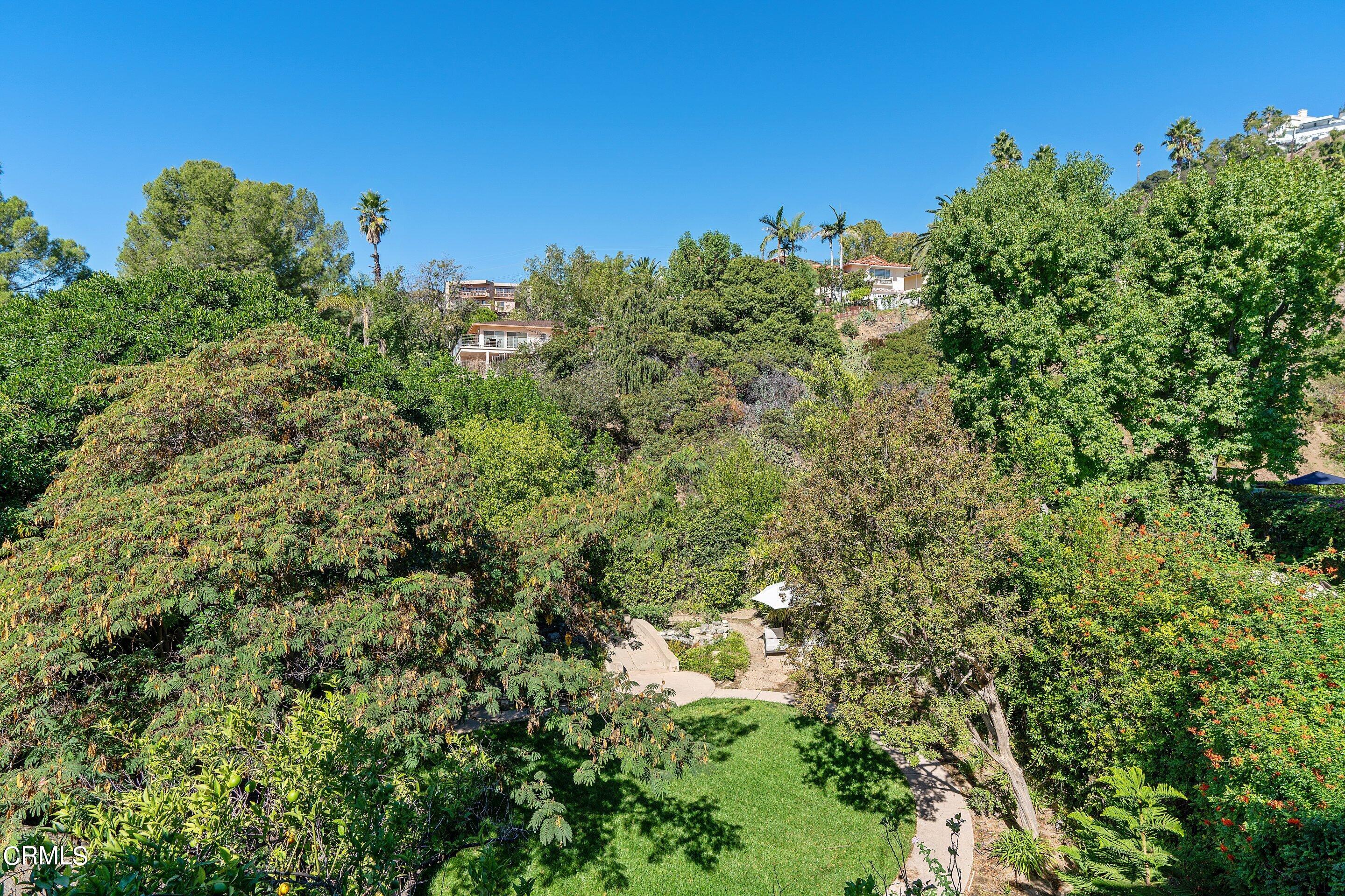 1637 Valley View Road Glendale, CA 91202 - Photo 58 of 66 a view of a bunch of trees