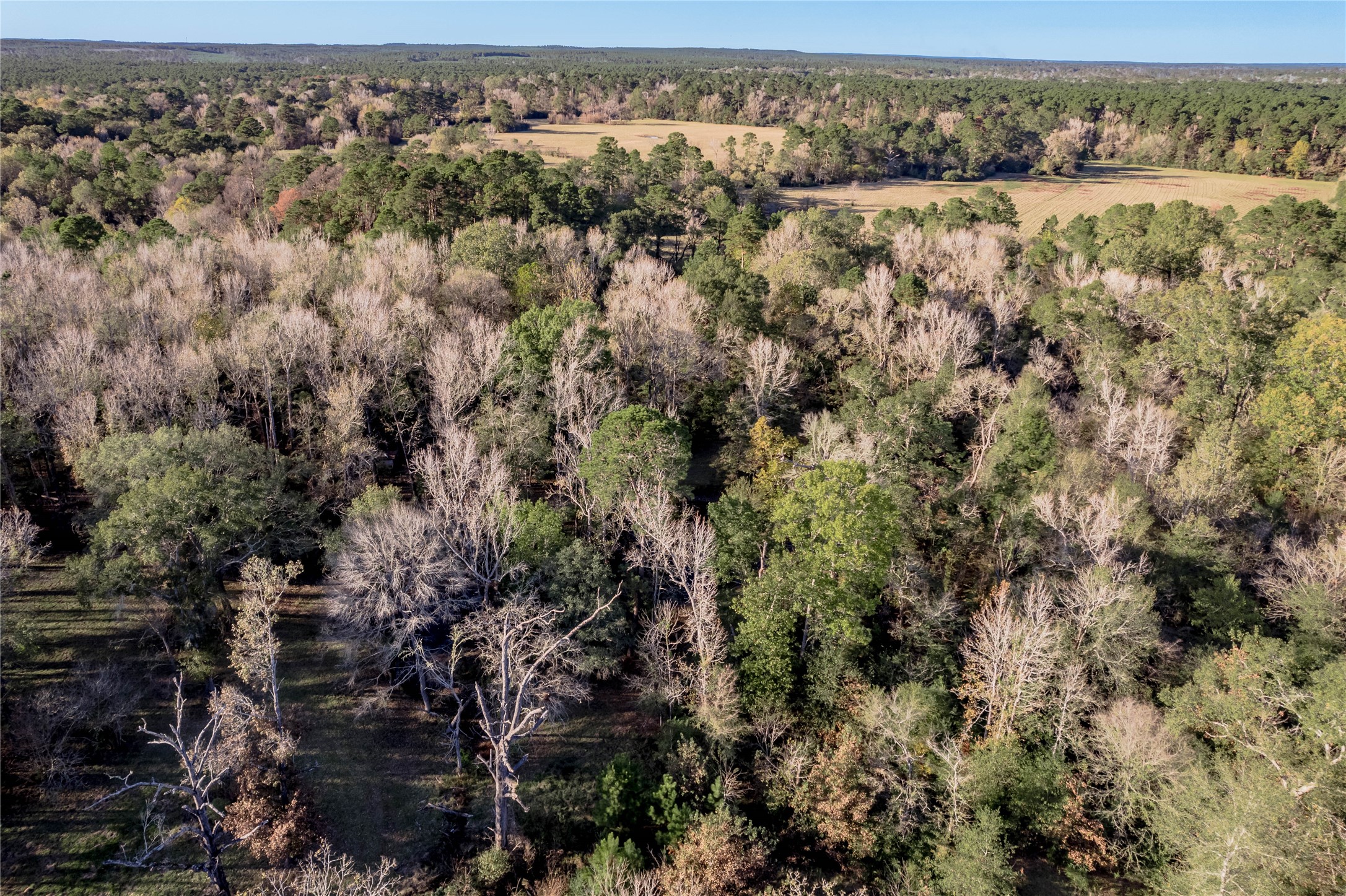 438 Cody Groveton, TX 75845 - Photo 13 of 15 an aerial view of a houses with a yard