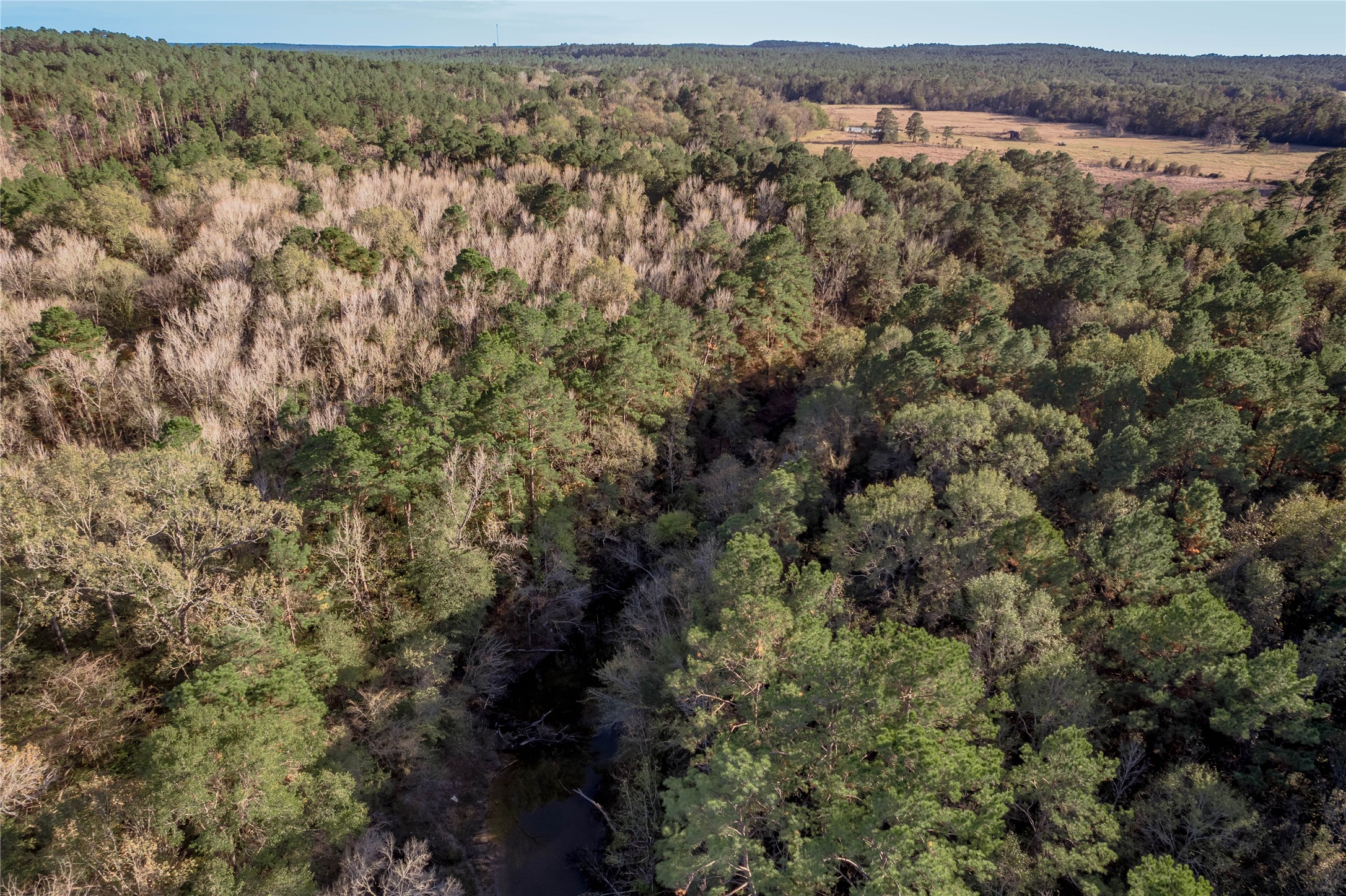 438 Cody Groveton, TX 75845 - Photo 14 of 15 an aerial view of houses with trees
