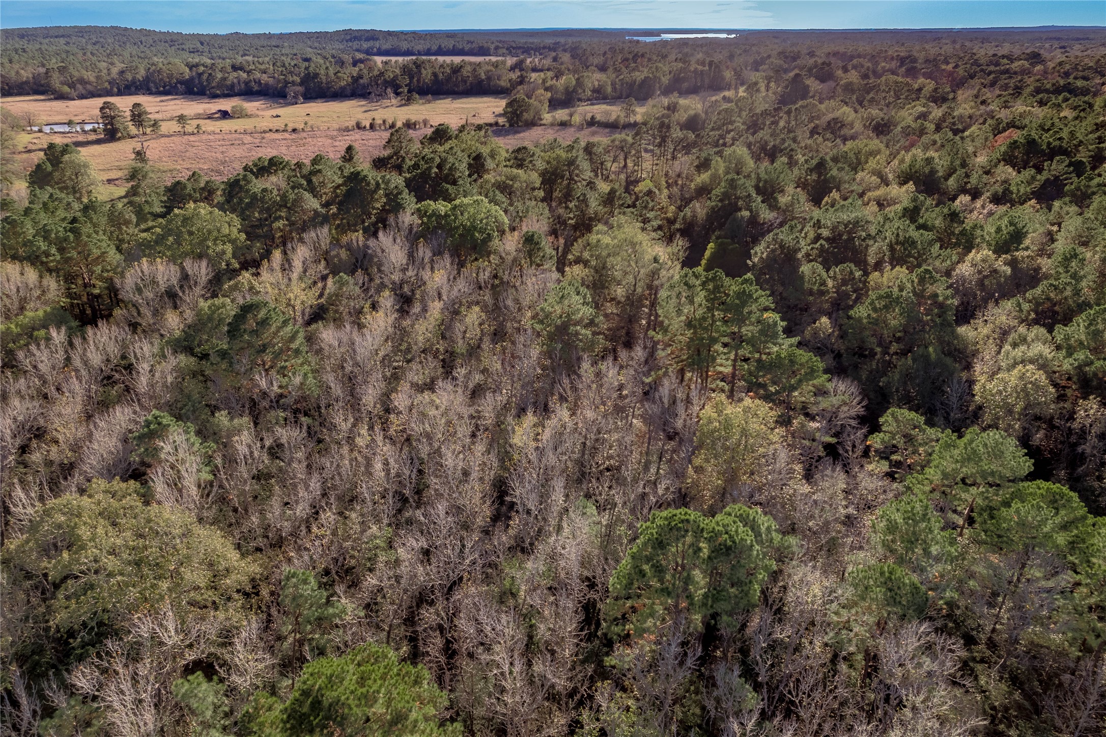 438 Cody Groveton, TX 75845 - Photo 15 of 15 an aerial view of a houses with a yard