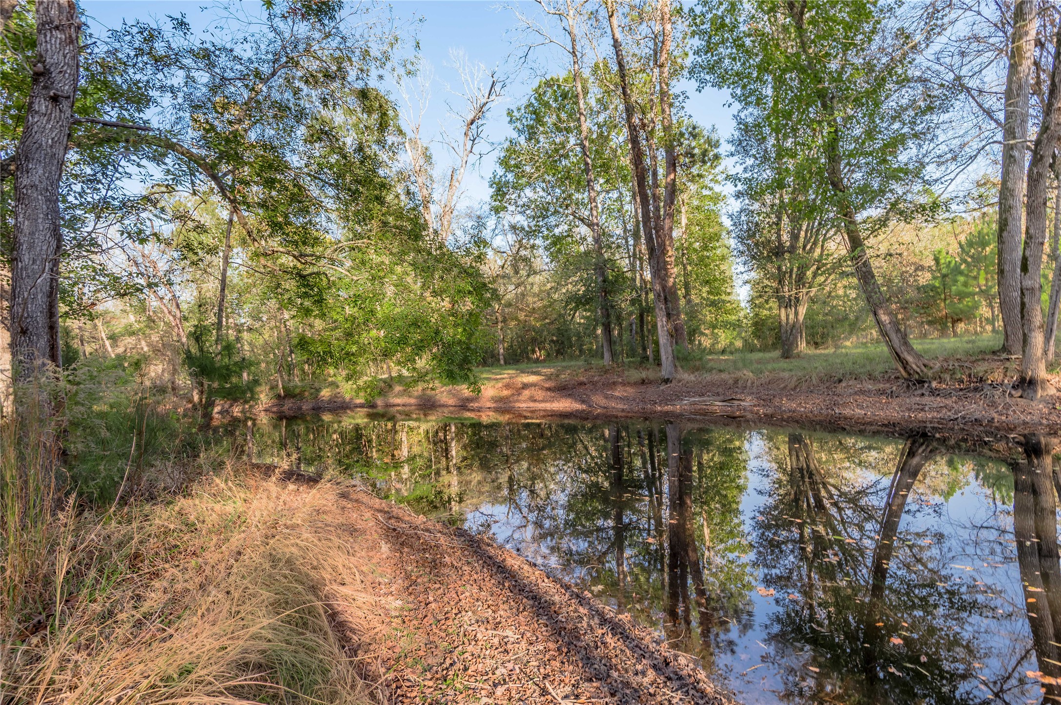 438 Cody Groveton, TX 75845 - Photo 8 of 15 a view of a lake with large trees