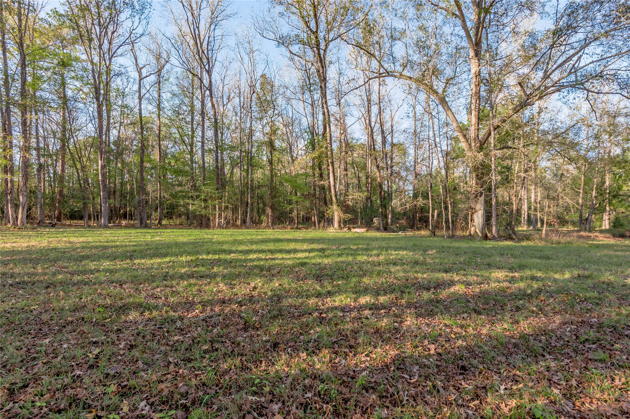 438 Cody Groveton, TX 75845 - Photo 10 of 15 a view of a park
