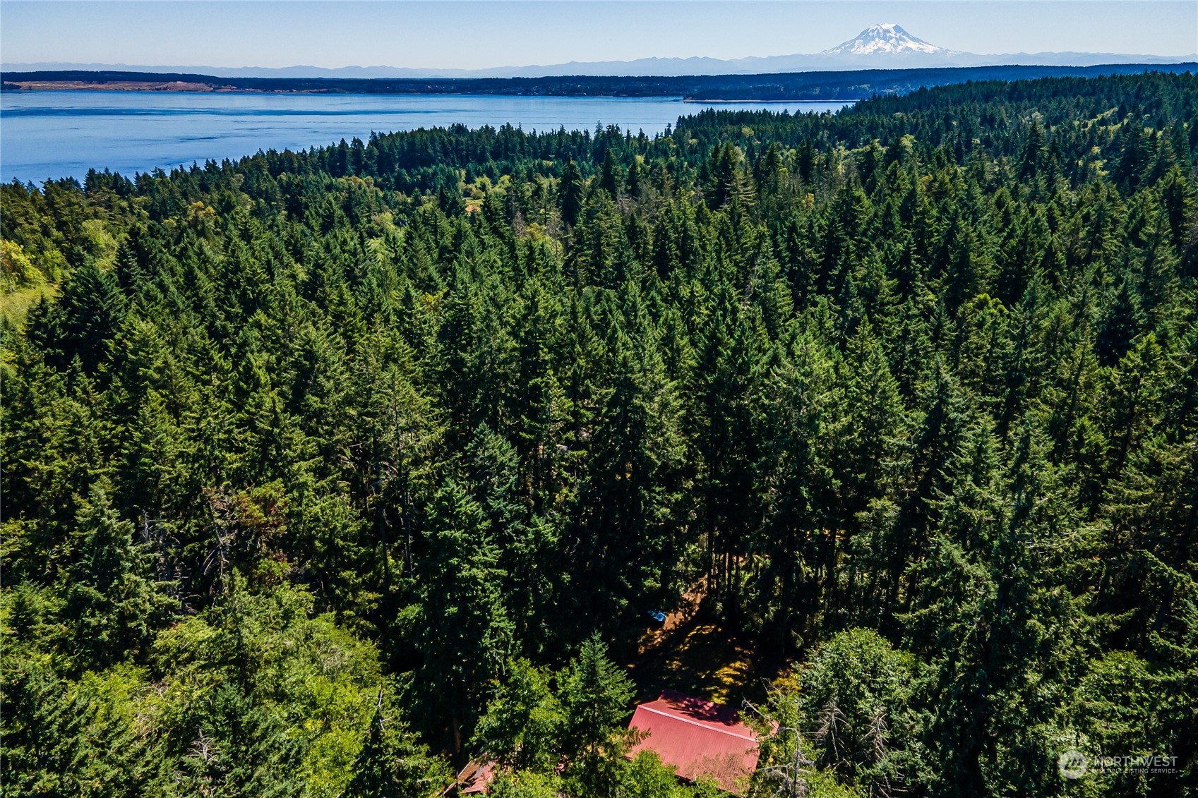 8526 Davenport Road Anderson Island, WA 98303 - Photo 29 of 31 a view of a lush green field