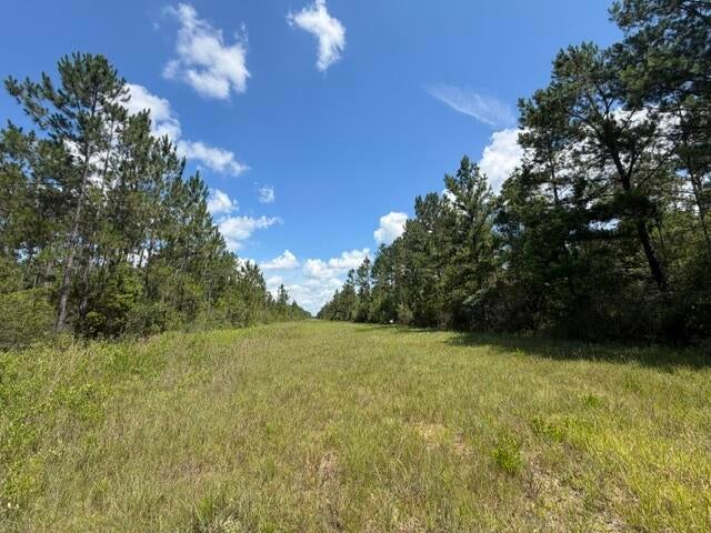 0 Elmer Hamilton Road Moss Point, MS 39562 - Photo 2 of 22 Gallery Image 2