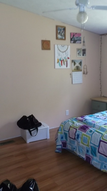 1017 Suncook Valley Road Barnstead, NH 03225 - Photo 10 of 14