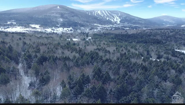 a view of a dry yard