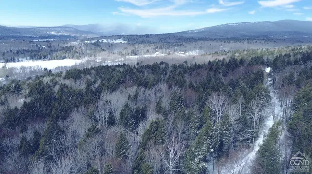 a view of a dry yard with green space