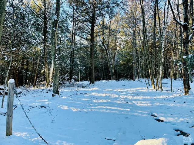 a view of a basketball court