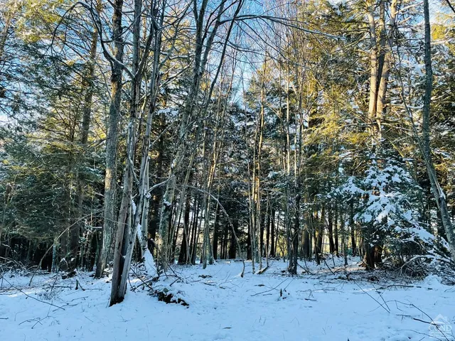 a view of outdoor space with trees