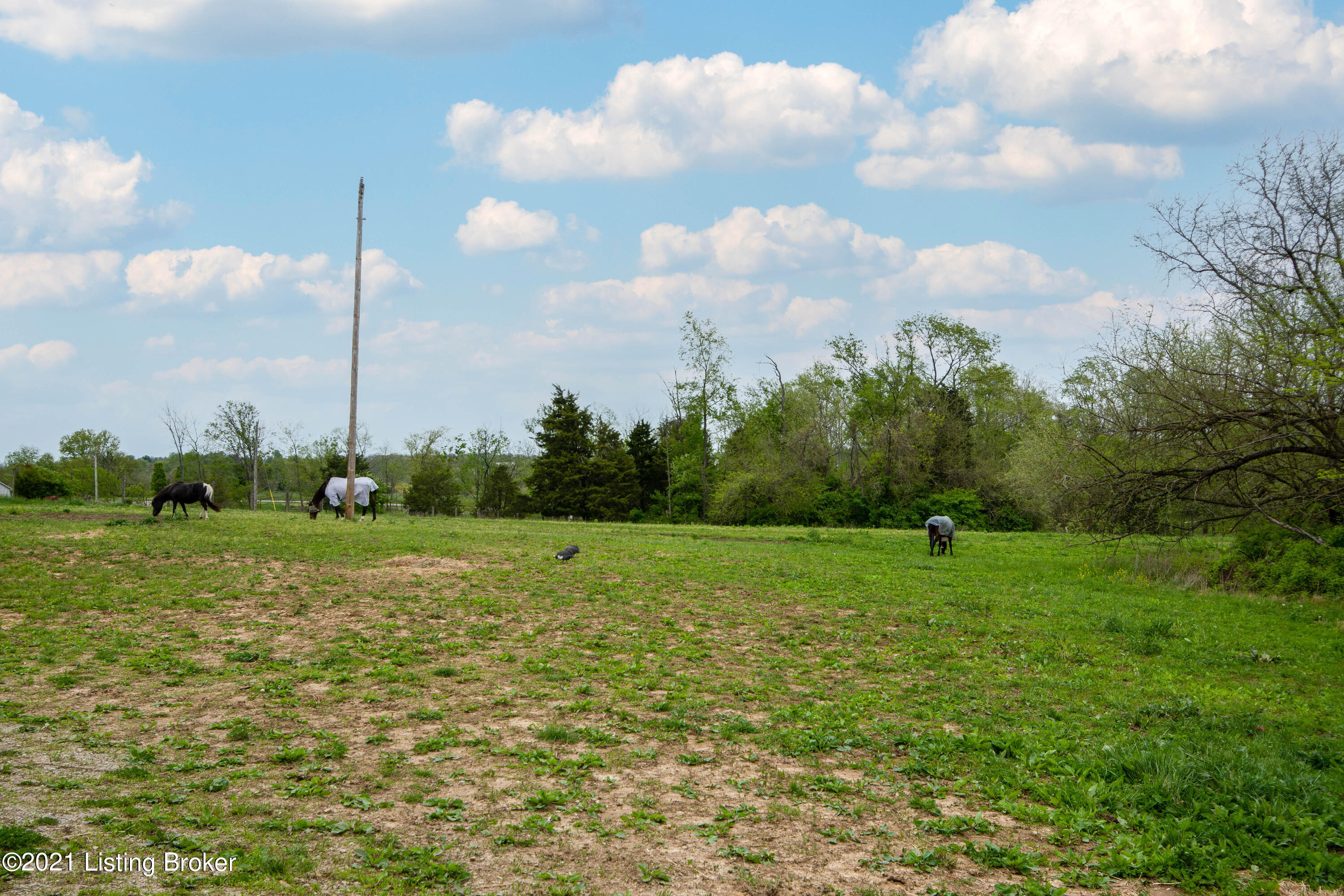 6933 Ballardsville Road Smithfield, KY 40068 - Photo 32 of 49 DSC_3027-Edit