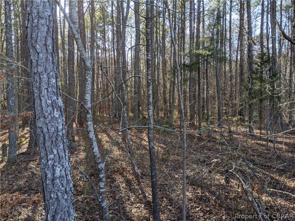 2 Chestnut Fork Road Gloucester, VA 23061 - Photo 2 of 11