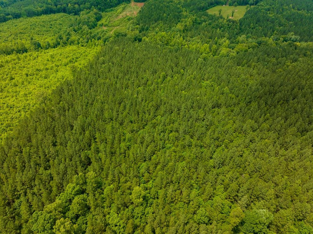 0 Mill Creek Road Roxboro, NC 27574 - Photo 17 of 54 Photo 17