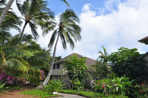 2330 Ho'ohu Road, Unit 10 Koloa, HI 96756 - Photo 2 of 23 Gallery Image 2