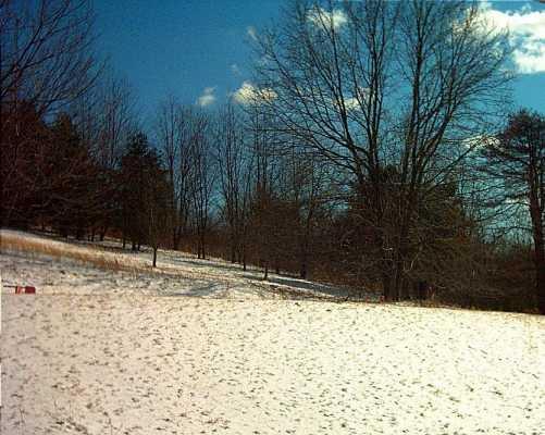 150 Conway Wallrose Road Freedom, PA 15042 - Photo 3 of 8 Other.