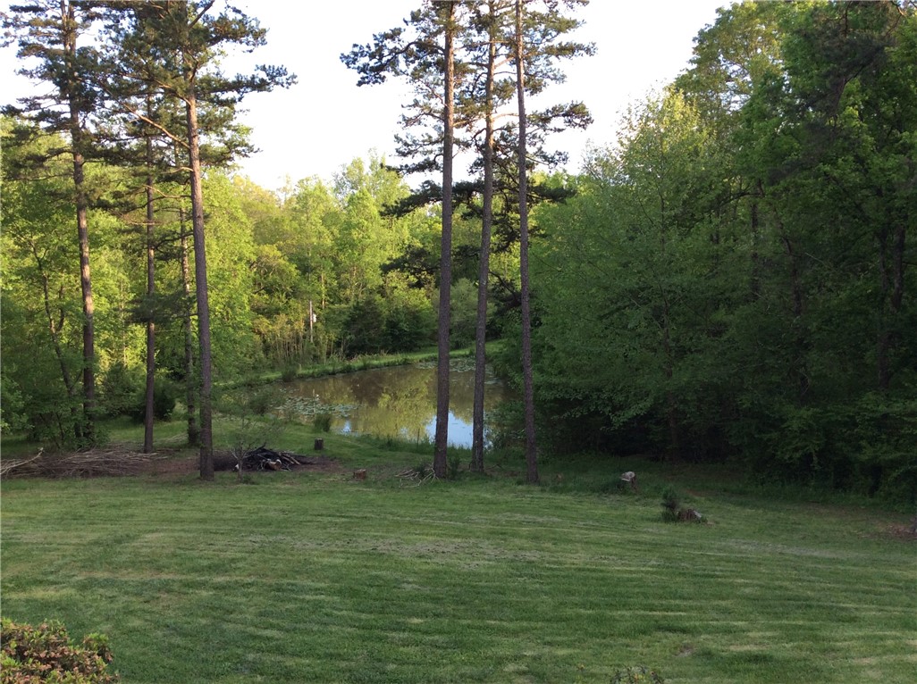 125 Mill Creek Road Central, SC 29630 - Photo 5 of 50 Gallery Image 5