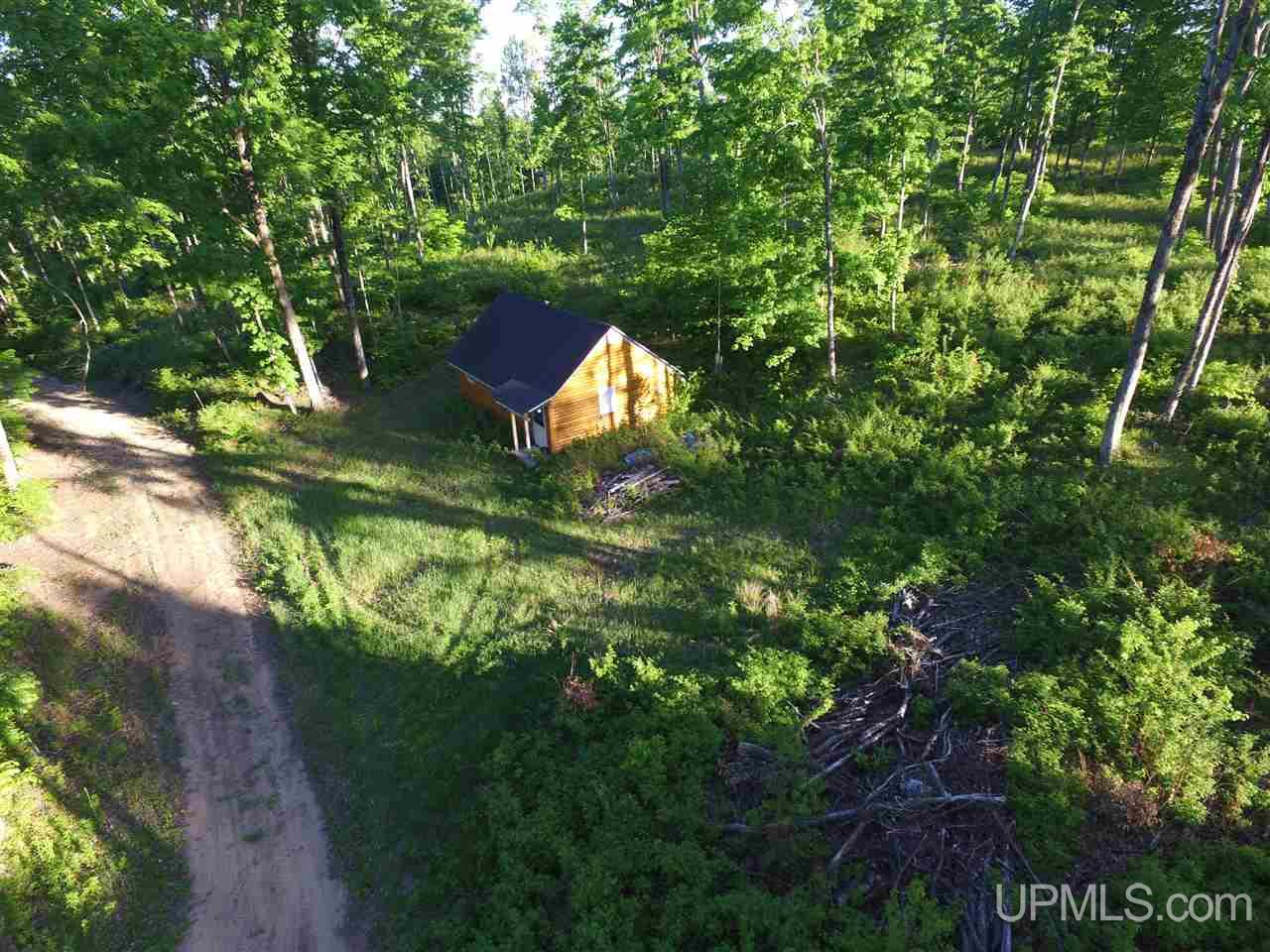 2353 Co Rd 442 Rapid River, MI 49878 - Photo 2 of 20