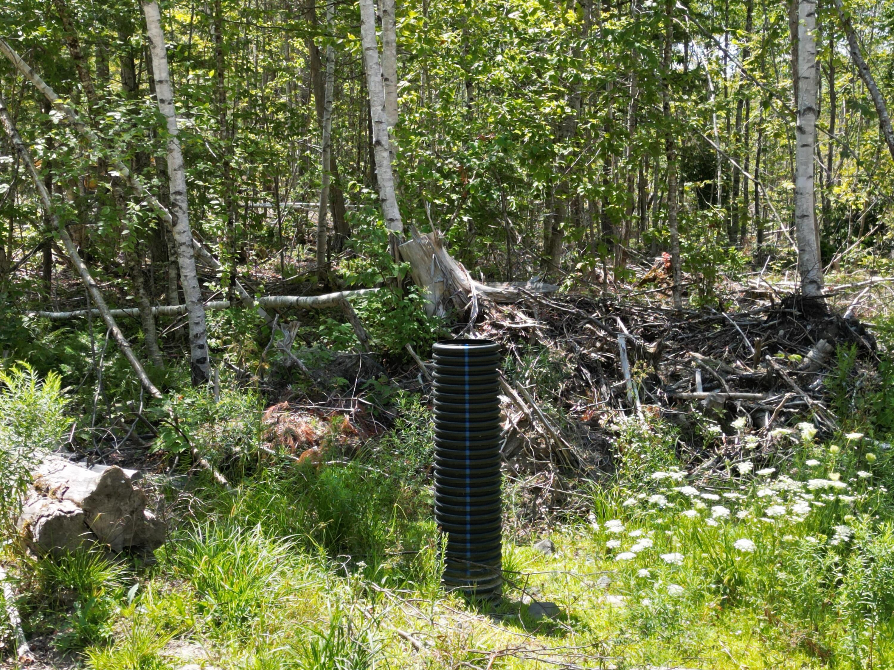 85 Cushman Ridge Road Springfield, ME 04487 - Photo 9 of 35 DJI_0259