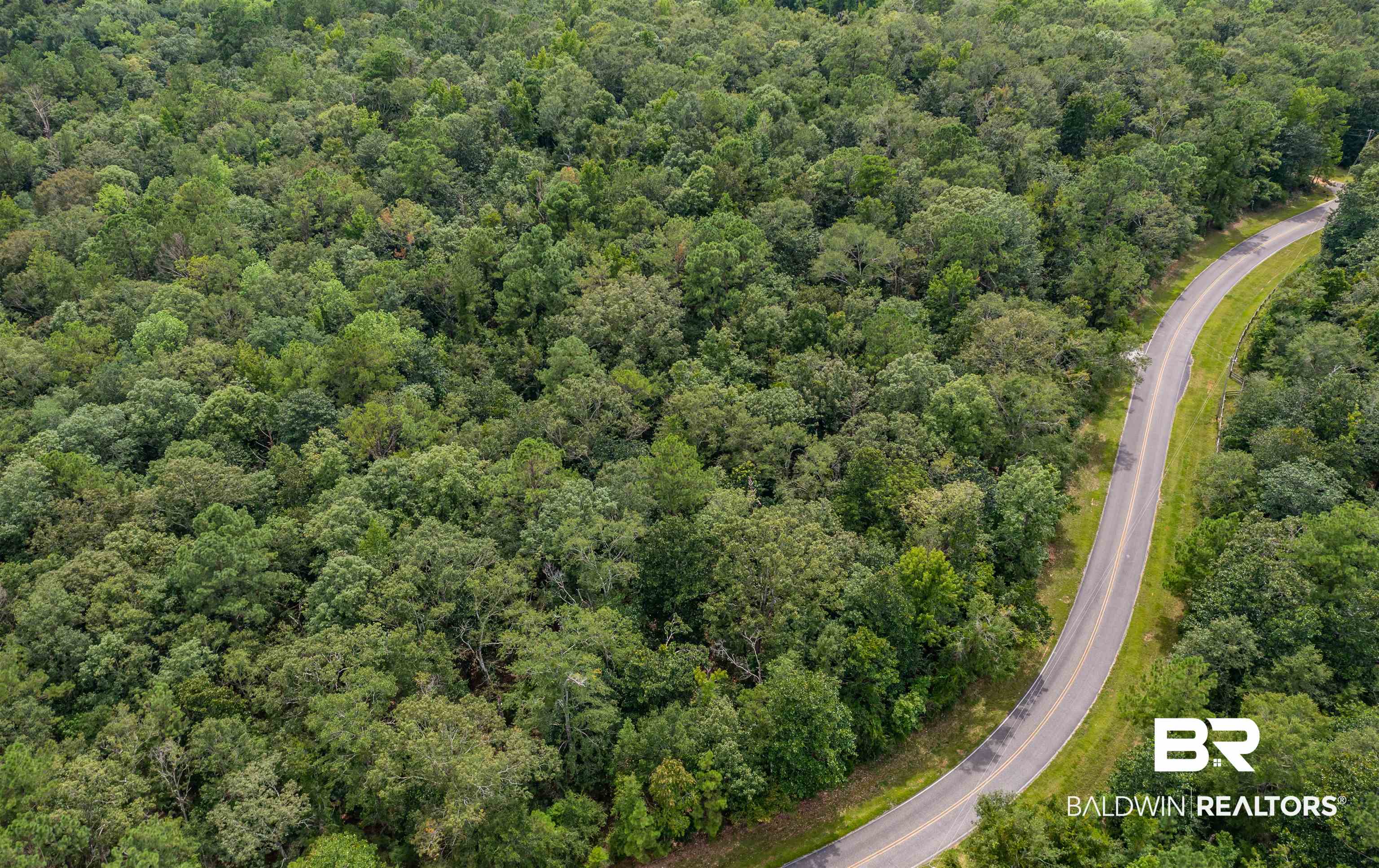 0 Patricks Ldg Road Bay Minette, AL 36507 - Photo 8 of 13