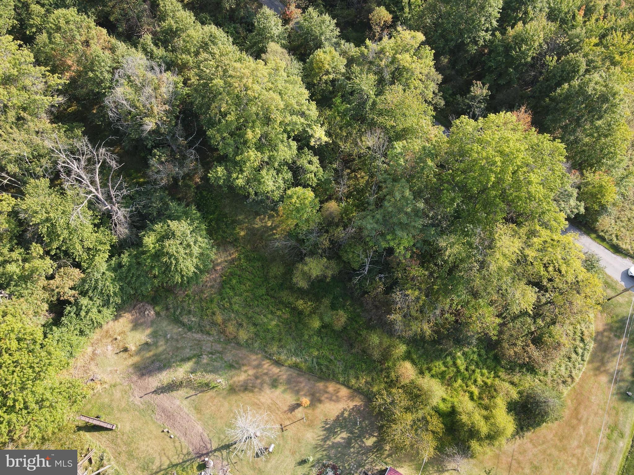 9434 Bethel Road Frederick, MD 21702 - Photo 7 of 7 a view of a forest with a tree