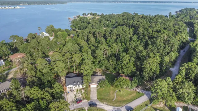 a view of a yard with a tree