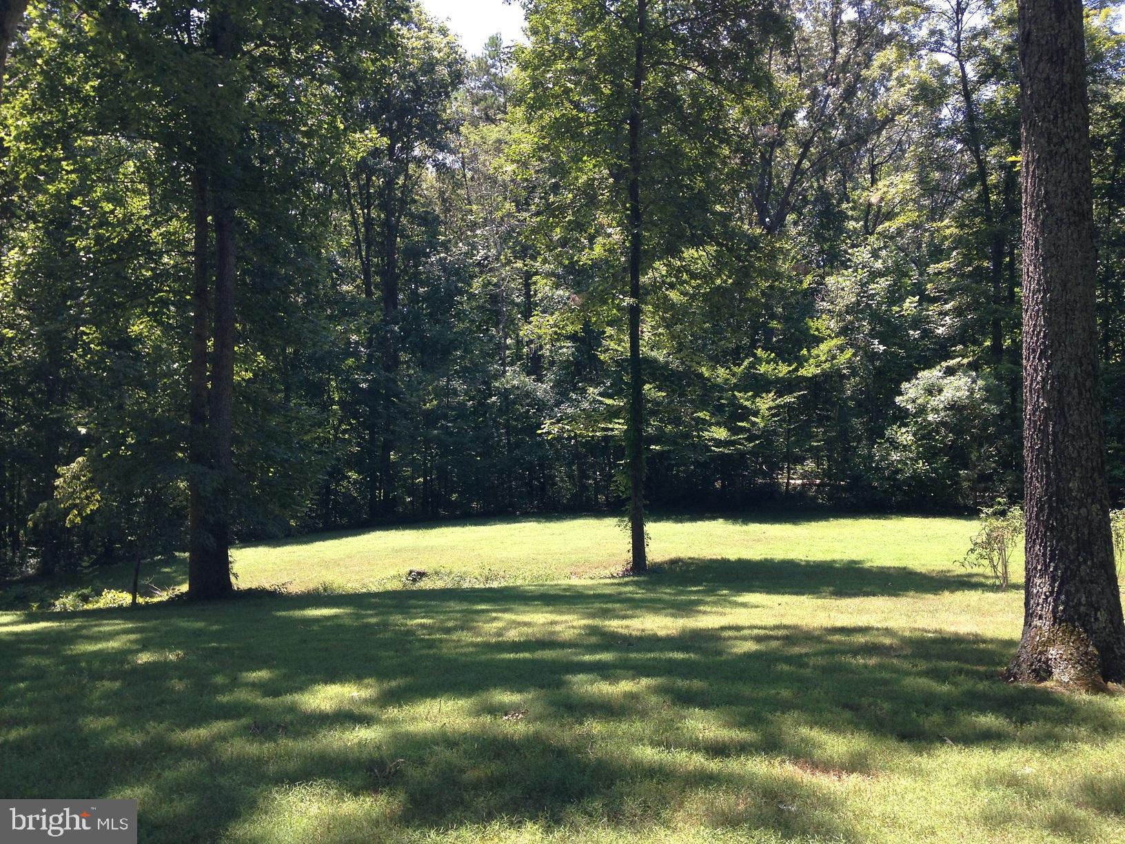 23016 Landora Bridge Road Ruther Glen, VA 22546 - Photo 21 of 29