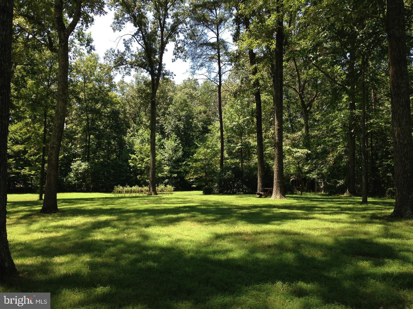 23016 Landora Bridge Road Ruther Glen, VA 22546 - Photo 24 of 29