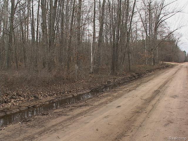 0 Eastman Road Rhodes, MI 48652 - Photo 12 of 16 W. View Back To The Eastman Corner