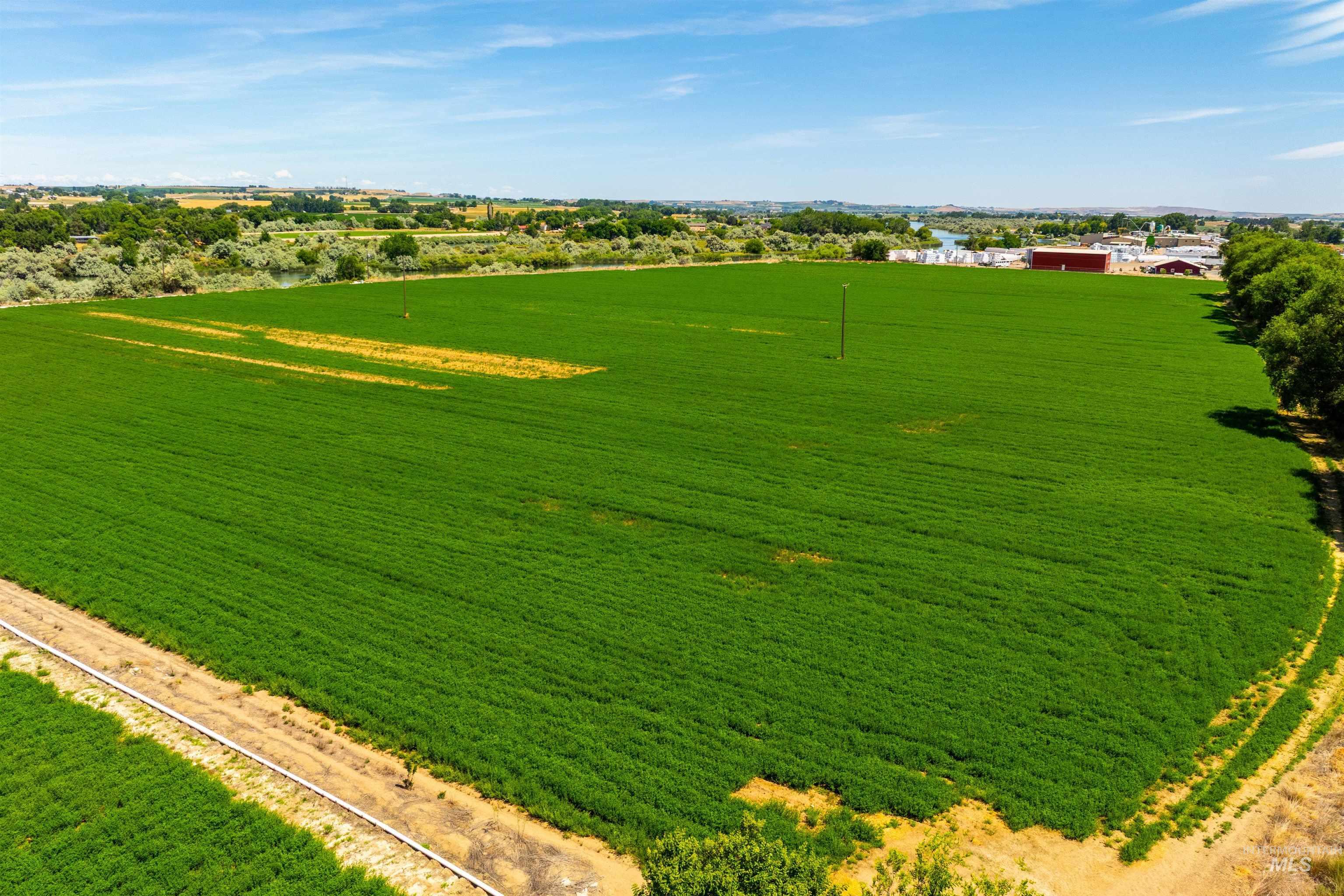 Tbd Pioneer Road Homedale, ID 83628 - Photo 11 of 22