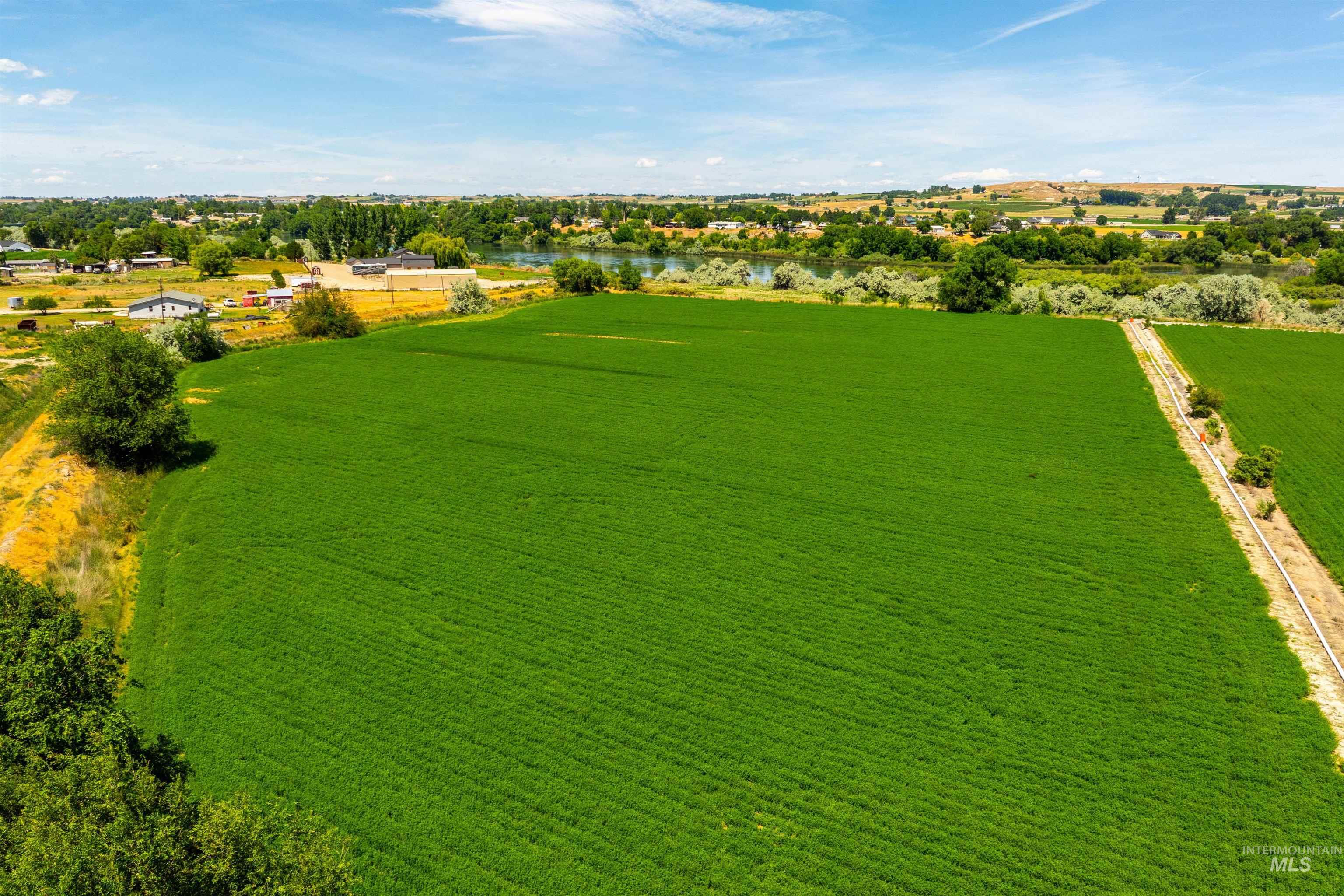 Tbd Pioneer Road Homedale, ID 83628 - Photo 12 of 22