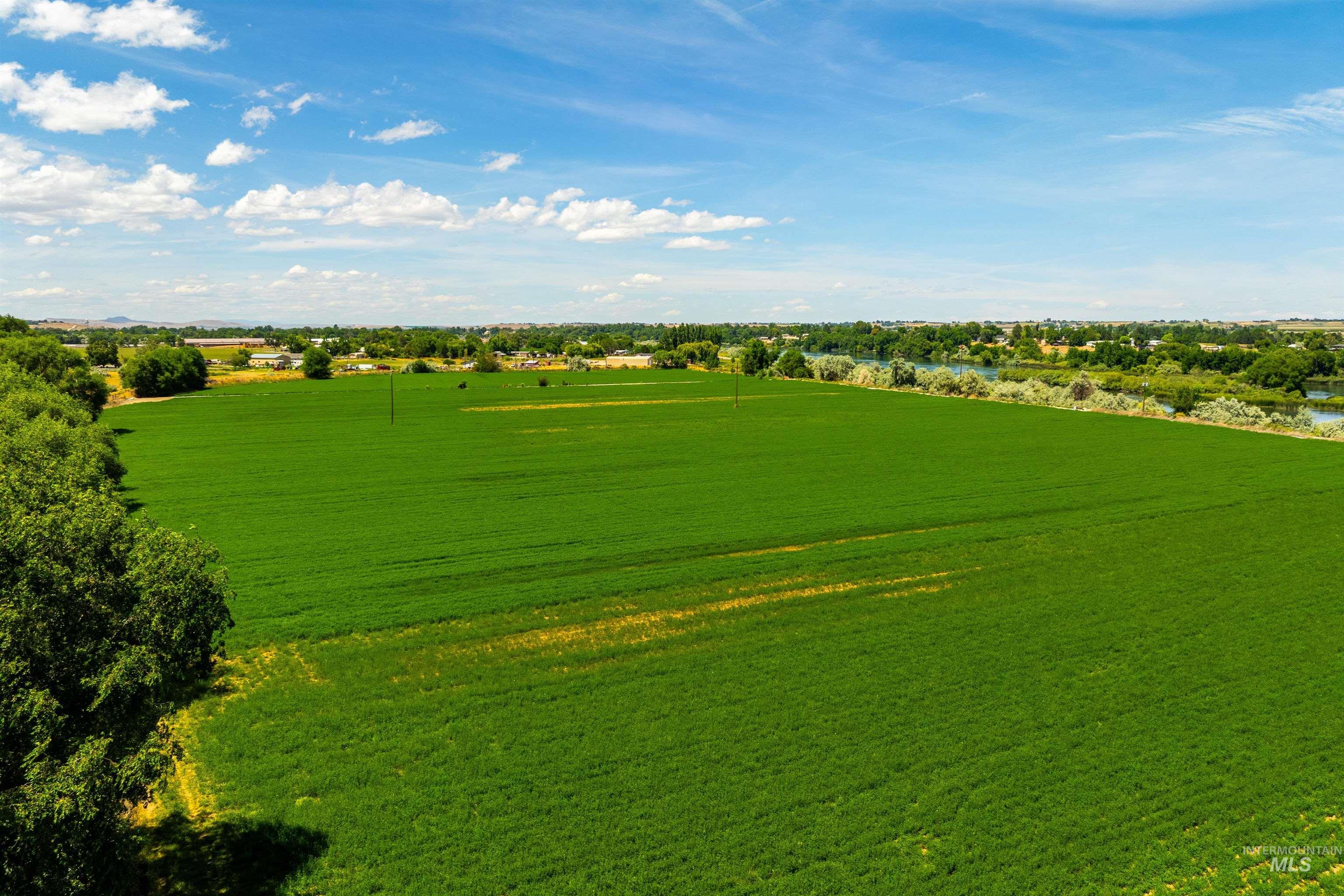 Tbd Pioneer Road Homedale, ID 83628 - Photo 8 of 22