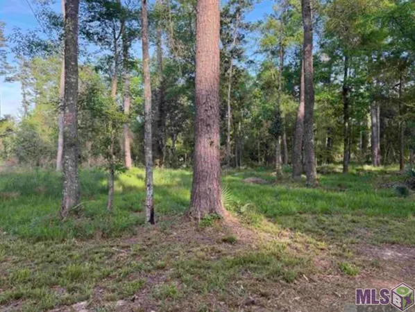 $149,000 | 1-b-2-a-3 Clinton Allen Road, Denham Springs, LA 70706