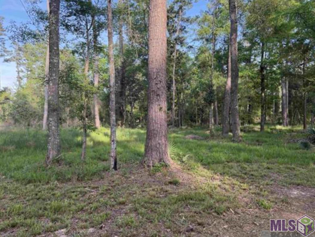 1-b-2-a-3 Clinton Allen Road Denham Springs, LA 70706 - Photo 1 of 2