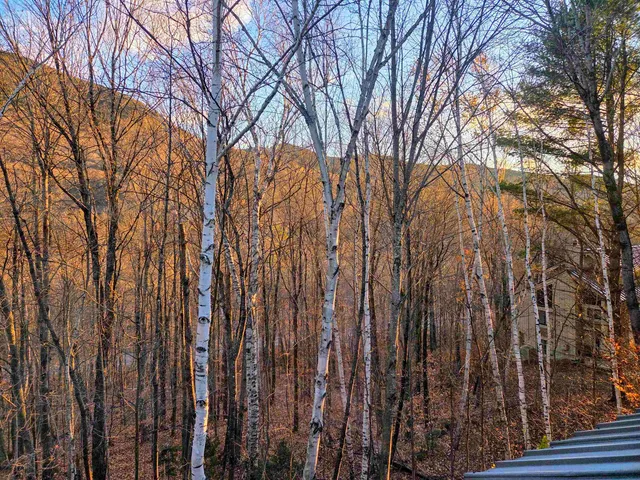 $650,000 | 36 Easterly Road, Unit 2, Lincoln, NH 03251