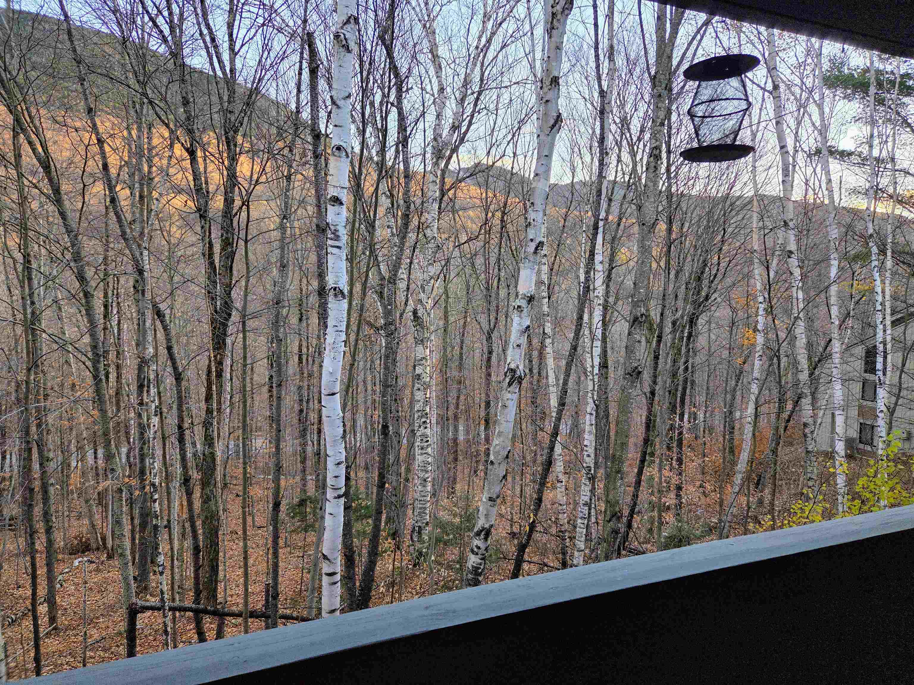 36 Easterly Road, Unit 2 Lincoln, NH 03251 - Photo 6 of 31